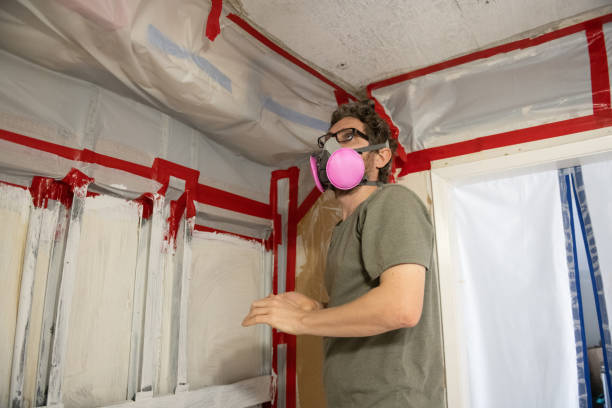 Best Black Mold Removal  in Harlem, GA