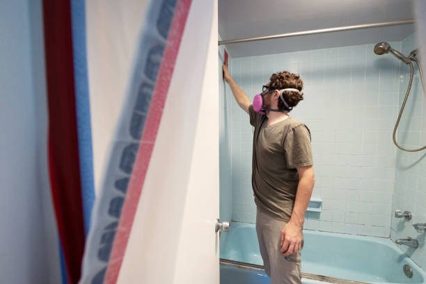 Environmental Consulting for Mold Prevention in Harlem, GA