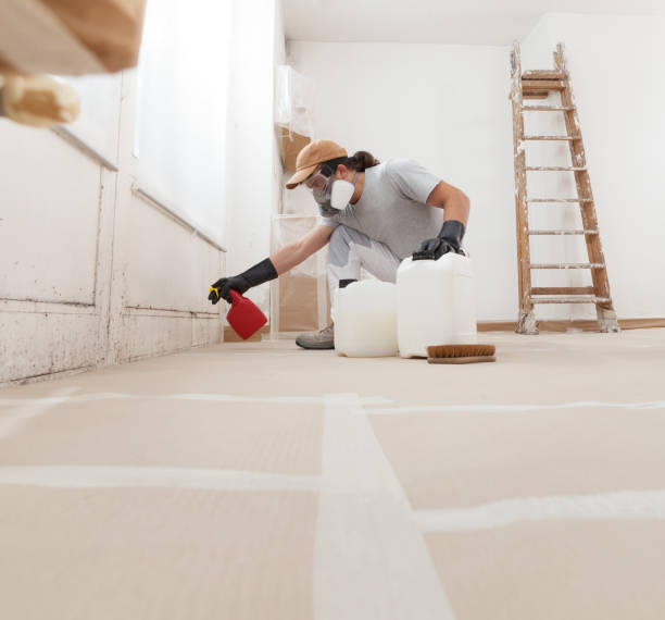 Best Post-Construction Mold Inspection  in Harlem, GA