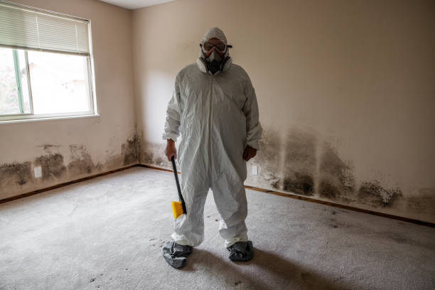 Best Air Quality Testing for Mold Spores  in Harlem, GA